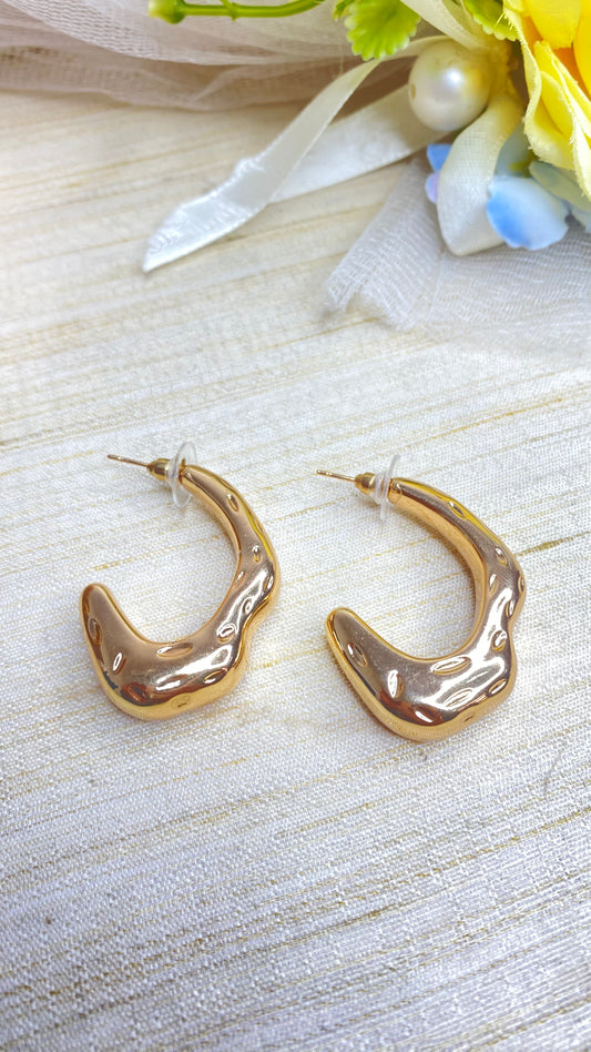 Saddle chic earrings